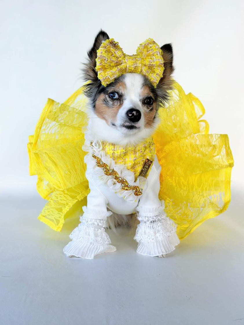 Yellow Lace Dog Tutu Skirt.