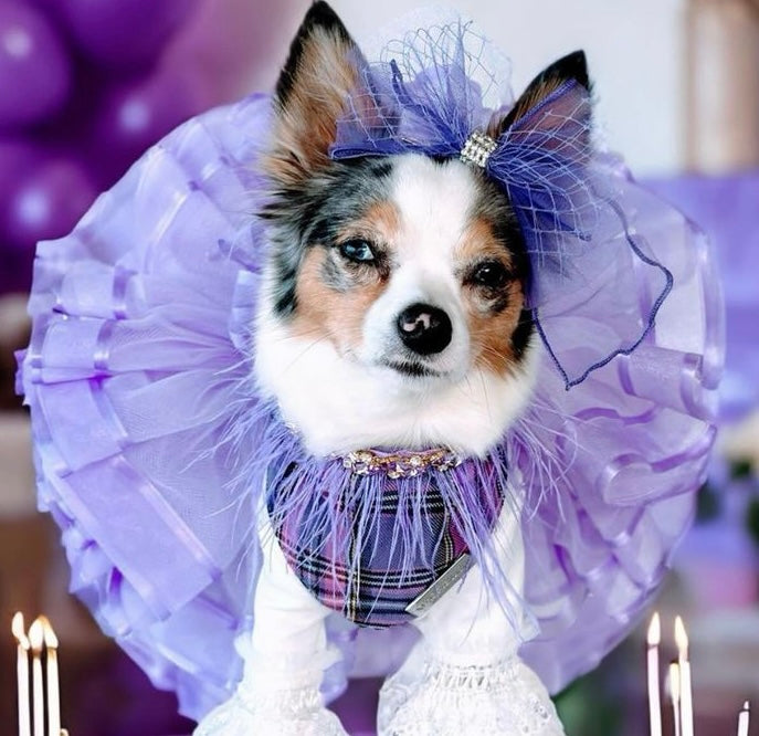 Lavender Dog Tutu Skirt