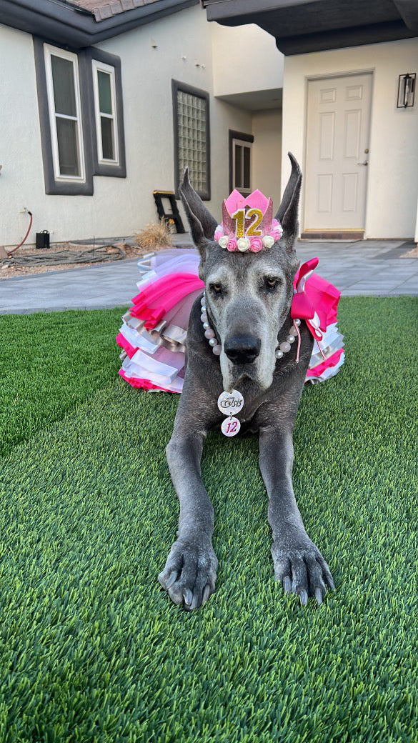 Dog tutu skirt