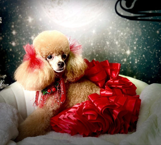 Red Dog Tutu